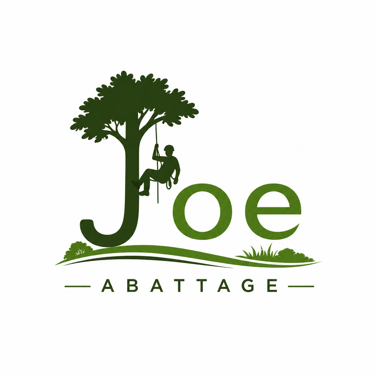 JOE Elagage - Élagage et abattage à Pau