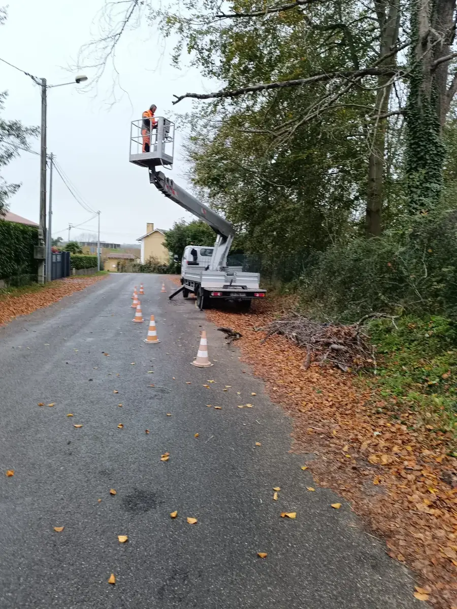 Élagueur en nacelle sécurisant des arbres en bord de route à Lourdes