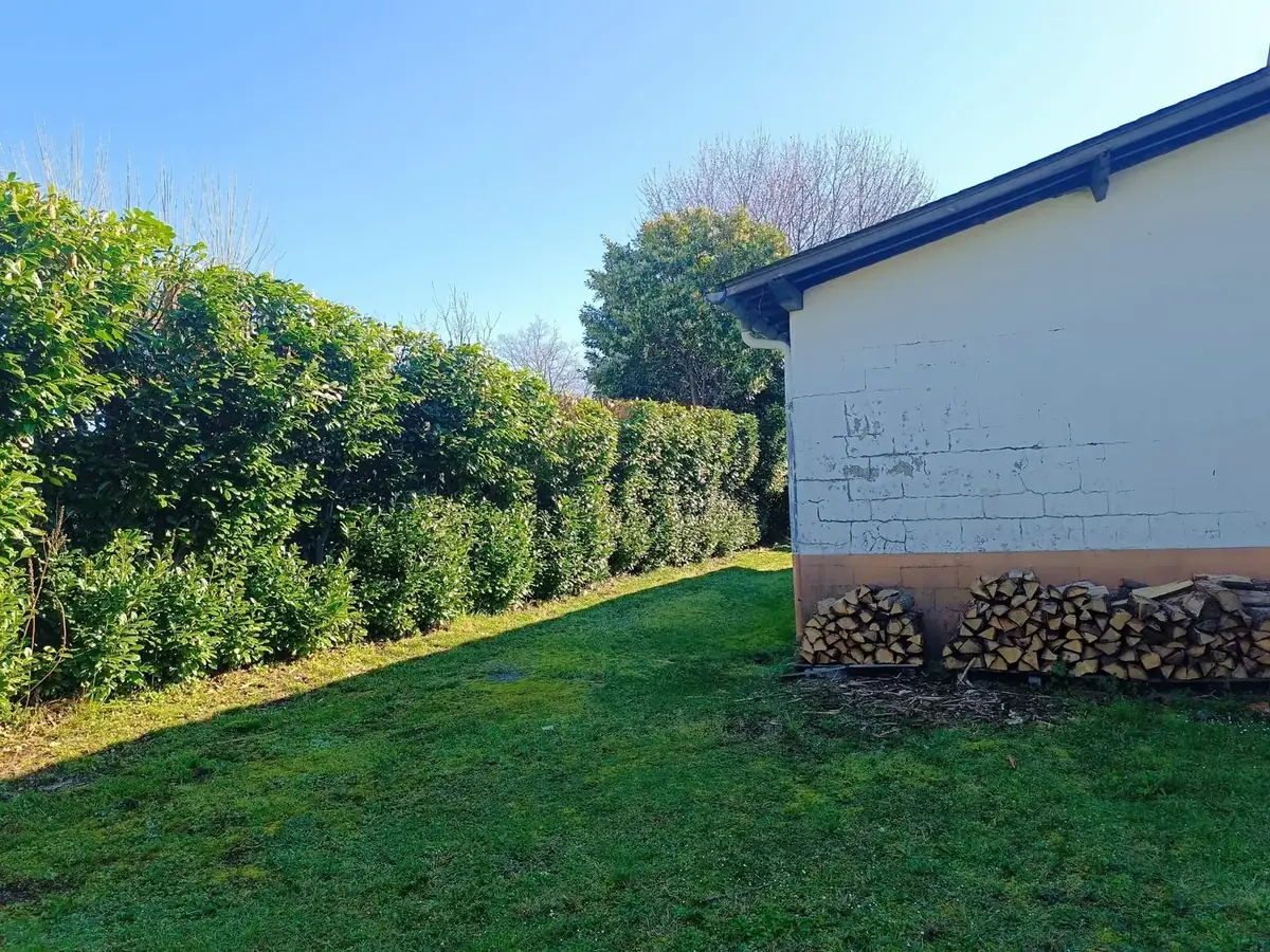 Haie redescendue et bois débité rangé en fin de chantier à Pau